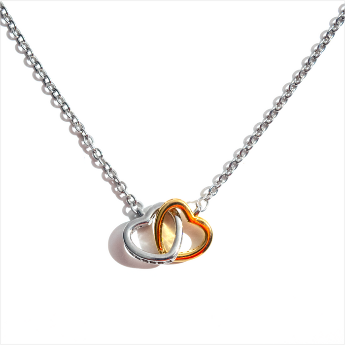 Locked Hearts Necklace